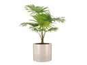 scheurich Blumentopf Sesam 14 cm, Créme