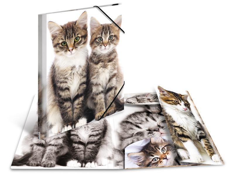 HERMA Gummibandmappe A4 Katzen, Polypropylen, mit Innendruck