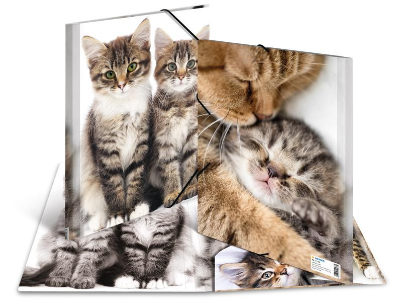 HERMA Gummibandmappe A4 Katzen, Polypropylen, mit Innendruck