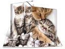 HERMA Gummibandmappe A4 Katzen, Polypropylen, mit Innendruck
