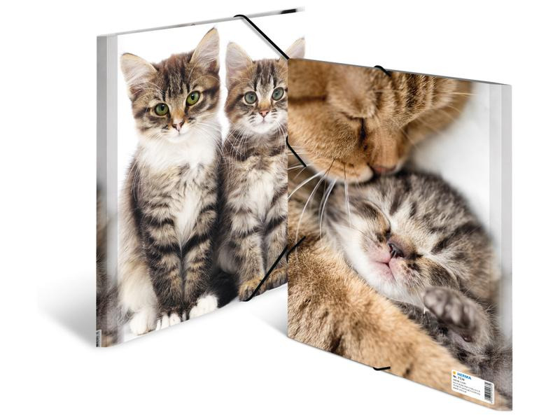 HERMA Gummibandmappe A4 Katzen, Polypropylen, mit Innendruck