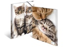 HERMA Gummibandmappe A4 Katzen, Polypropylen, mit Innendruck