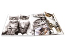 HERMA Gummibandmappe A4 Katzen, Polypropylen, mit Innendruck