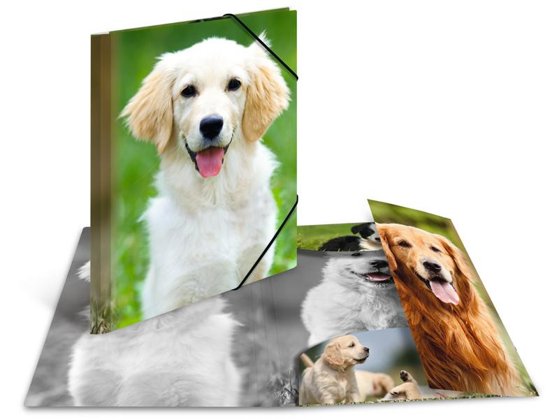 HERMA Gummibandmappe A4 Hunde, Polypropylen, mit Innendruck