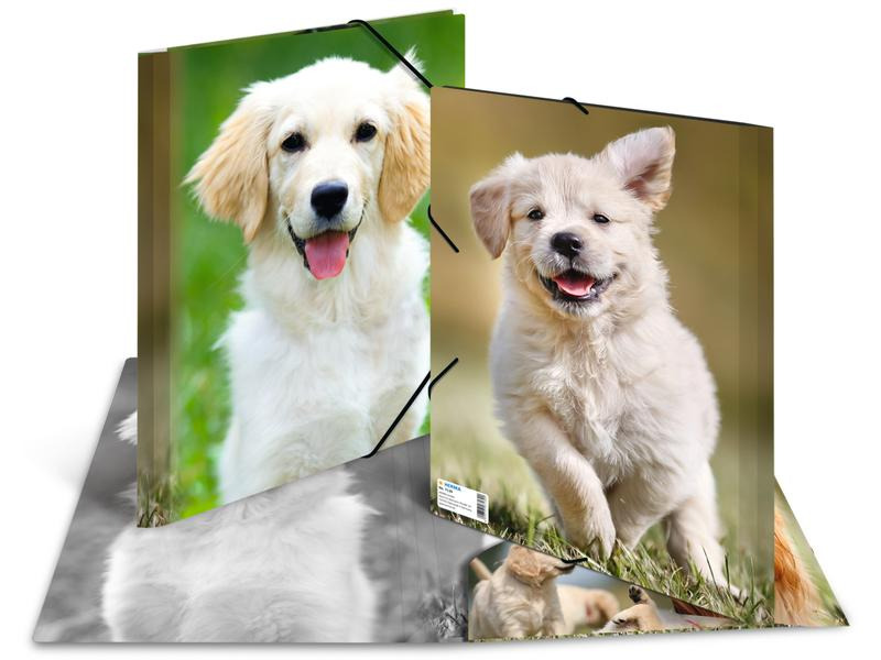 HERMA Gummibandmappe A4 Hunde, Polypropylen, mit Innendruck