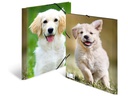 HERMA Gummibandmappe A4 Hunde, Polypropylen, mit Innendruck