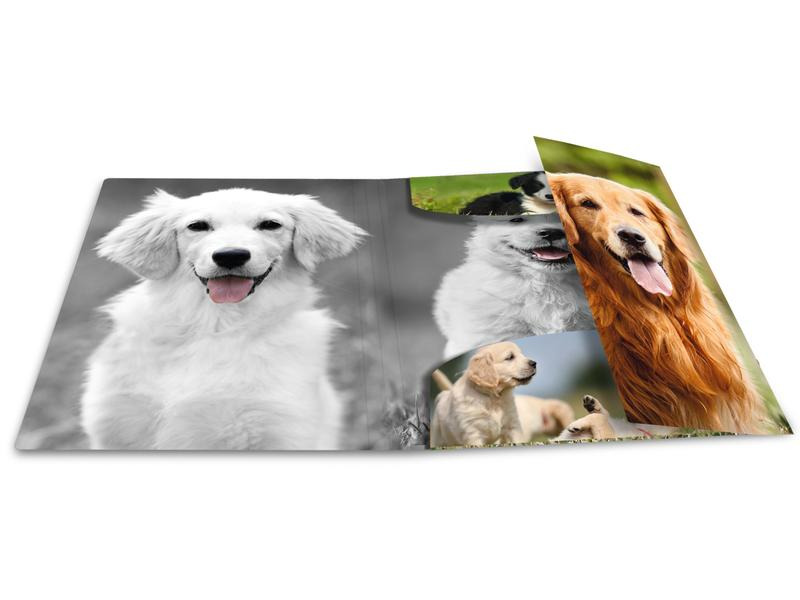 HERMA Gummibandmappe A4 Hunde, Polypropylen, mit Innendruck