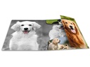 HERMA Gummibandmappe A4 Hunde, Polypropylen, mit Innendruck