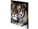 HERMA Gummibandmappe A3 Leopard, Polypropylen, mit Innendruck