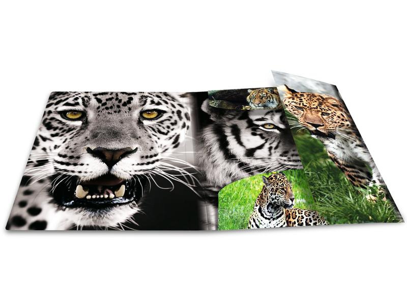 HERMA Gummibandmappe A3 Leopard, Polypropylen, mit Innendruck