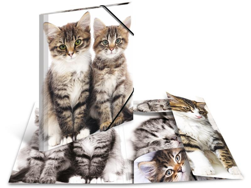 HERMA Gummibandmappe A3 Katzen, Polypropylen, mit Innendruck