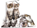 HERMA Gummibandmappe A3 Katzen, Polypropylen, mit Innendruck