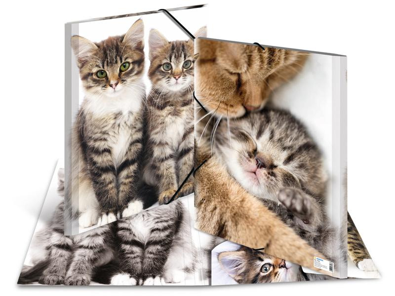 HERMA Gummibandmappe A3 Katzen, Polypropylen, mit Innendruck