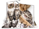 HERMA Gummibandmappe A3 Katzen, Polypropylen, mit Innendruck