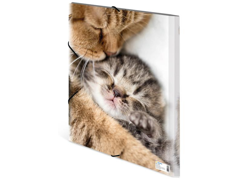 HERMA Gummibandmappe A3 Katzen, Polypropylen, mit Innendruck