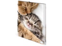 HERMA Gummibandmappe A3 Katzen, Polypropylen, mit Innendruck
