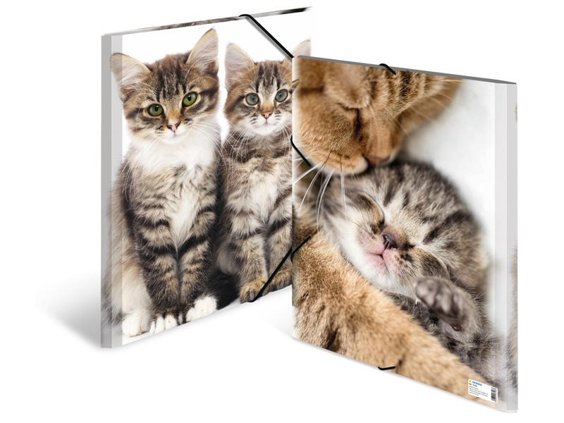HERMA Gummibandmappe A3 Katzen, Polypropylen, mit Innendruck