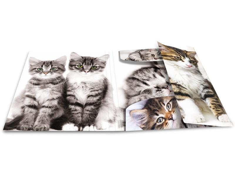 HERMA Gummibandmappe A3 Katzen, Polypropylen, mit Innendruck