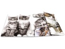 HERMA Gummibandmappe A3 Katzen, Polypropylen, mit Innendruck
