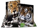 HERMA Gummibandmappe A4 Leopard, Polypropylen, mit Innendruck