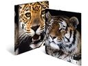 HERMA Gummibandmappe A4 Leopard, Polypropylen, mit Innendruck