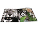 HERMA Gummibandmappe A4 Leopard, Polypropylen, mit Innendruck