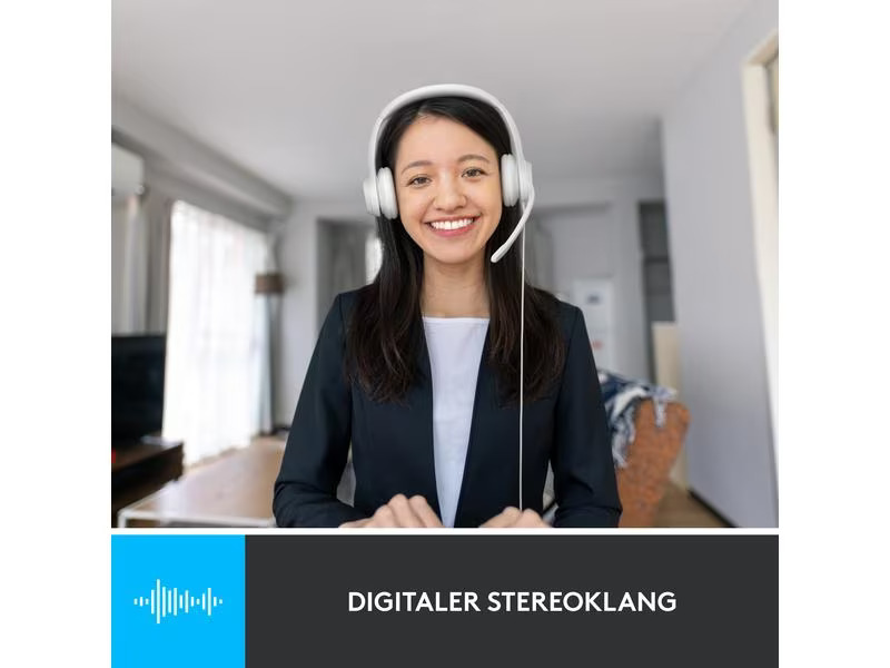 Logitech Headset H390 USB Stereo