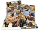 HERMA Gummibandmappe A3 Afrika, Karton, mit Innendruck