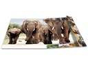 HERMA Gummibandmappe A3 Afrika, Karton, mit Innendruck