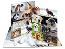 HERMA Gummibandmappe A3 Hunde, Karton, mit Innendruck
