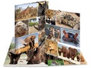 HERMA Gummibandmappe A4 Afrika, Karton, mit Innendruck