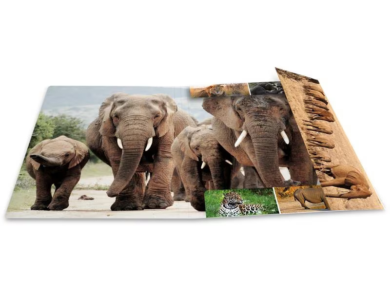 HERMA Gummibandmappe A4 Afrika, Karton, mit Innendruck