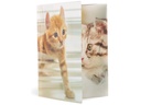HERMA Gummibandmappe A4 Katzen, Polypropylen, mit Innendruck