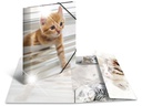 HERMA Gummibandmappe A4 Katzen, Polypropylen, mit Innendruck