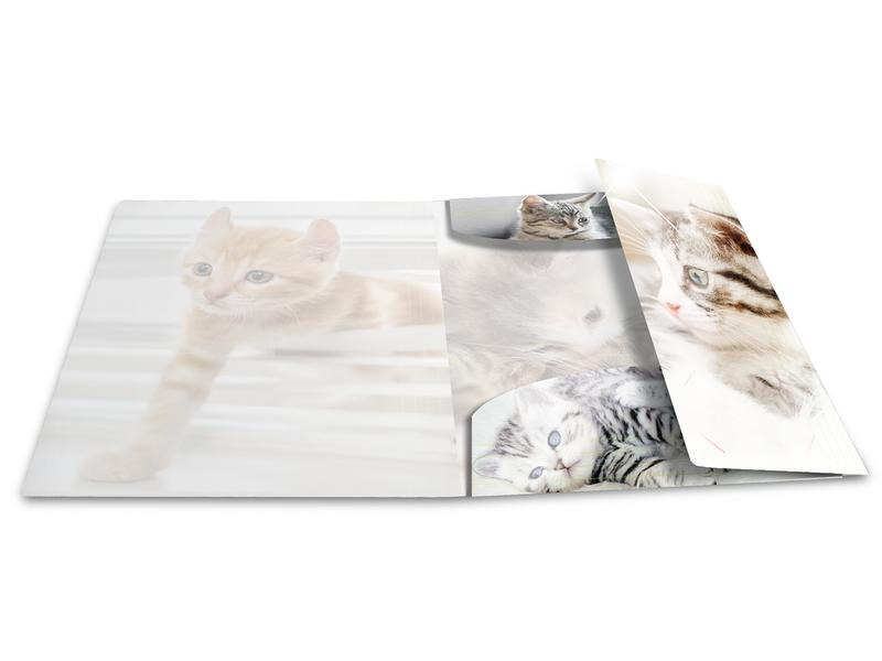 HERMA Gummibandmappe A4 Katzen, Polypropylen, mit Innendruck