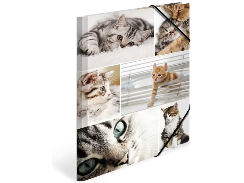 HERMA Gummibandmappe A4 Katzen, Karton, mit Innendruck
