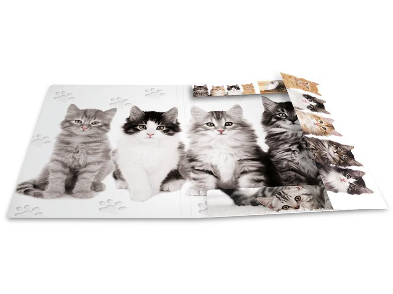 HERMA Gummibandmappe A4 Katzen, Karton, mit Innendruck