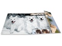 HERMA Gummibandmappe A4 Hunde, Karton, mit Innendruck