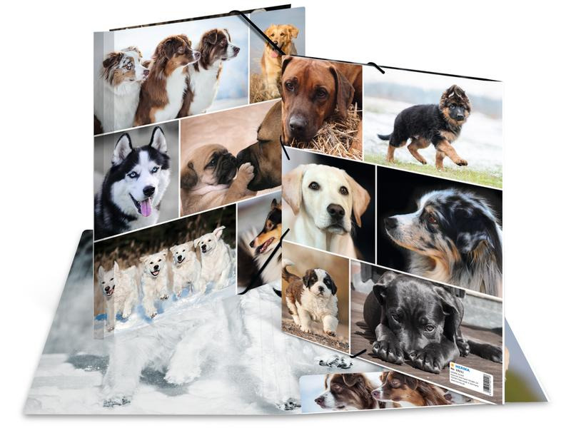 HERMA Gummibandmappe A4 Hunde, Karton, mit Innendruck