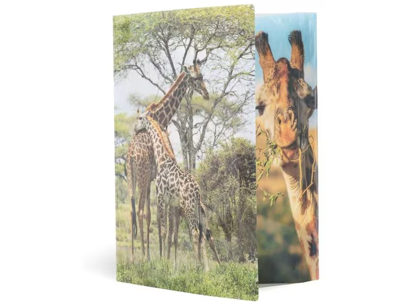 HERMA Gummibandmappe A4 Giraffe, Polypropylen, mit Innendruck