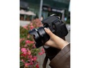 7Artisans Festbrennweite 7.5mm F/3.5 Ultra Wide APS-C – Canon EF