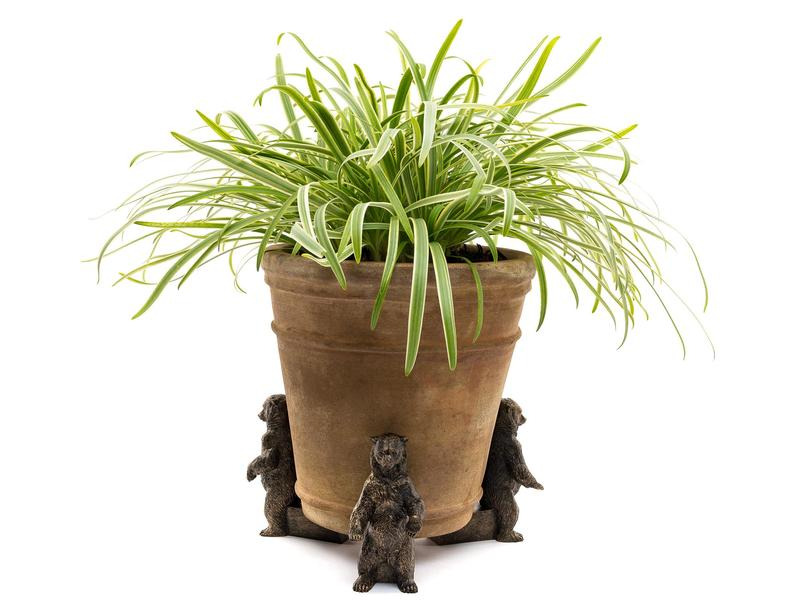 Jardinopia Pflanzentopffüsse Potty Feet Grizzlybär, 3er Set