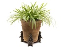 Jardinopia Pflanzentopffüsse Potty Feet Grizzlybär, 3er Set