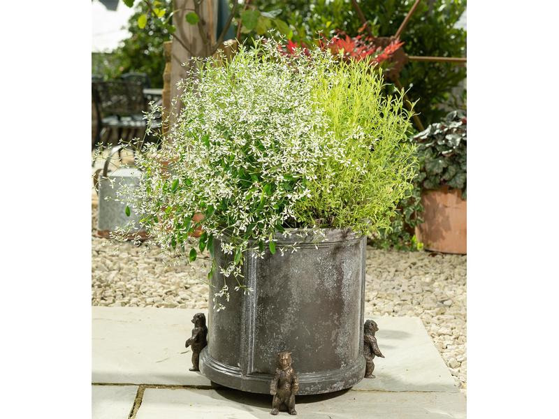 Jardinopia Pflanzentopffüsse Potty Feet Grizzlybär, 3er Set
