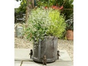 Jardinopia Pflanzentopffüsse Potty Feet Grizzlybär, 3er Set