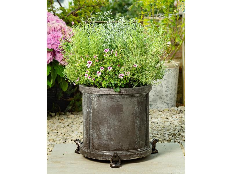 Jardinopia Pflanzentopffüsse Potty Feet Frosch, 3er Set