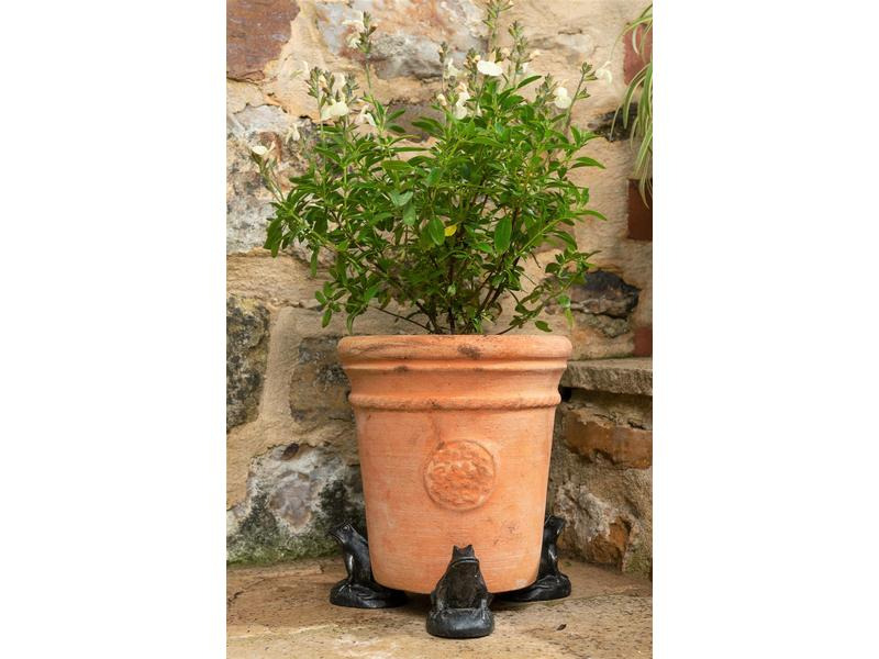 Jardinopia Pflanzentopffüsse Potty Feet Frosch, 3er Set