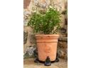 Jardinopia Pflanzentopffüsse Potty Feet Frosch, 3er Set