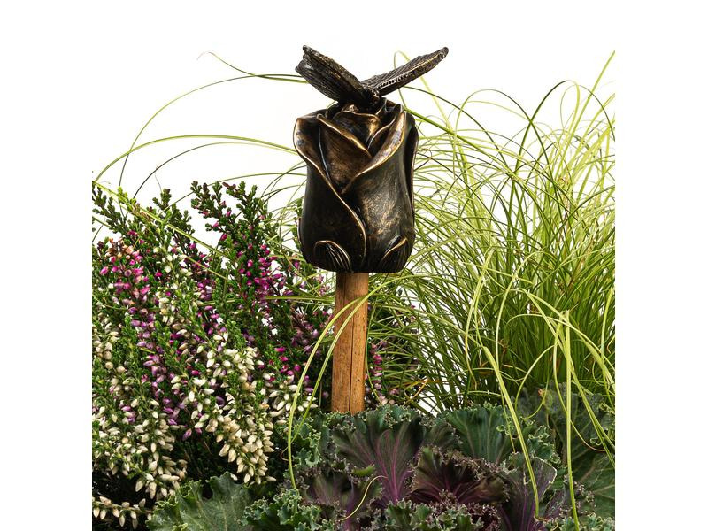 Jardinopia Cane Companions Schmetterling auf Rose