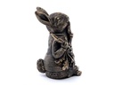 Jardinopia Cane Companions Peter Rabbit